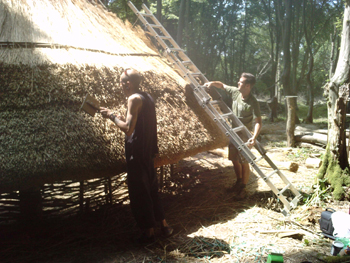 thatching thatching