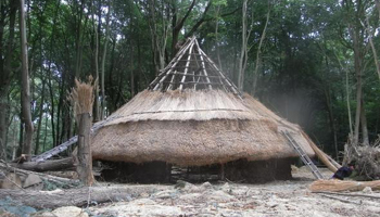 making-daub making-daub-for-walls