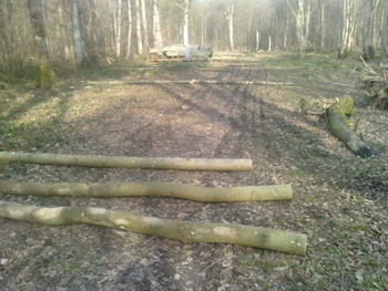 ash-roof-poles ash-roof-poles