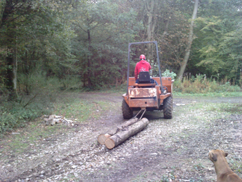 oak-beams oak-beams-removal