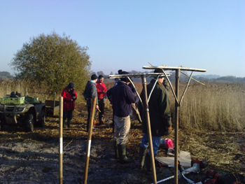 volunteers at the fen volunteers at Strumpshaw fen