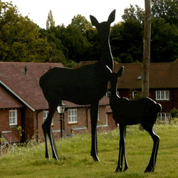 bolnore green bolnore green