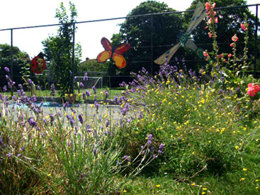 Herb Garden Herb Garden