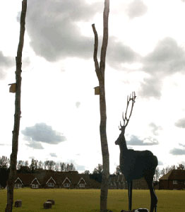 bird boxes bird boxes