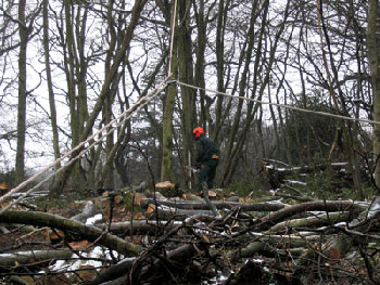 raw materials raw materials