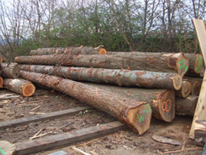 Sustainable Resource Sustainable Resource