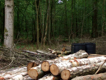 Production and Education Model Production and Education Model