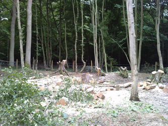 pond-clearance pond-clearance