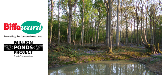 pond-establishing pond-establishing