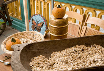 the Touchwood seed stall the Touchwood seed stall