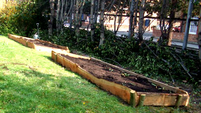 Larch wood raised beds Larch wood raised beds