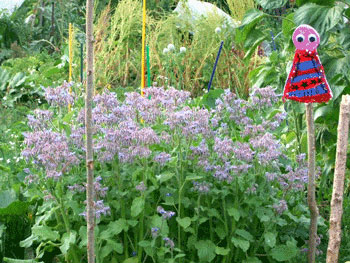 insect 'scarecrows' insect 'scarecrows'