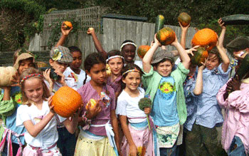 pumpkin competition pumpkin competition