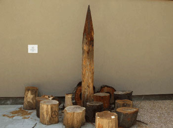 transformation sculpture transformation sculpture